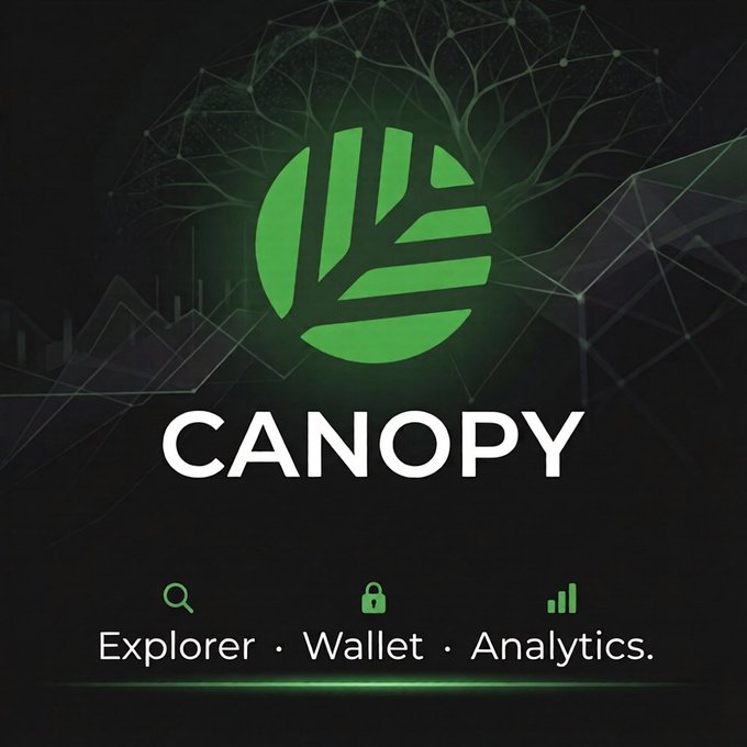 A digital promotional image featuring a green stylized leaf logo with the word 'CANOPY' and icons for 'Explorer', 'Wallet', and 'Analytics' below it on a dark background.