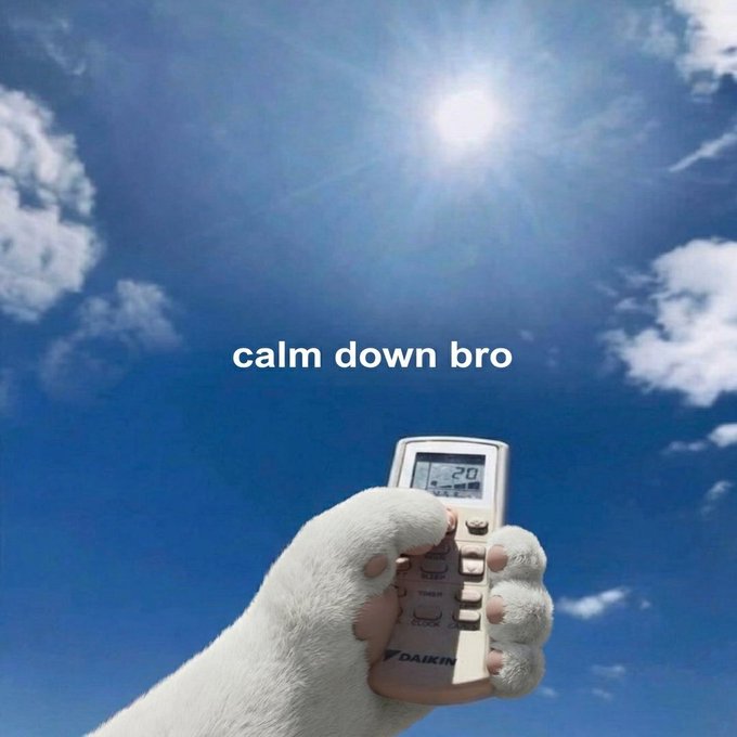 A polar bear paw holds a Daikin air conditioner remote pointed at a bright sun in a blue sky, with the text "calm down bro" overlaid—likely a humorous take on setting the AC to 20°C to beat the heat.
