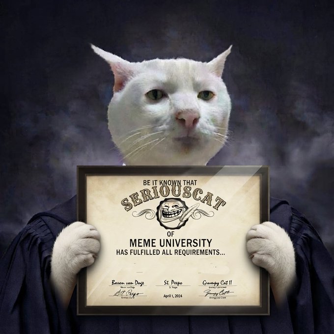 A meme image of a serious-looking white cat wearing a graduation gown and holding a diploma from 'MEME UNIVERSITY' awarded to 'SERIOUSCAT' on April 1, 2024, signed by Baron von Doge, St. Peepo, and Grumpy Cat II.