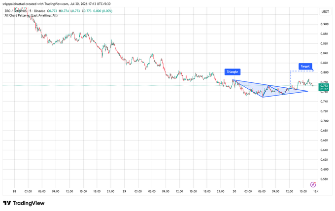 A TradingView financial chart showing a descending price trend with annotations identifying a 'Triangle' chart pattern and a 'Target' zone in the USDT pair.