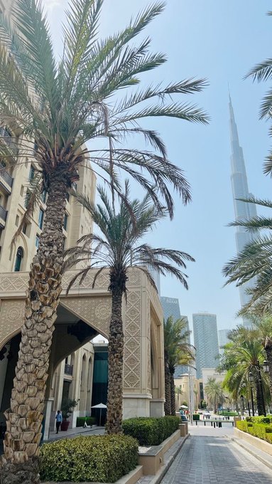 Palm trees frame a sunlit walkway toward the towering Burj Khalifa, with the address "23223" visible in the lower corner, capturing a serene Dubai morning in response to a cheerful "GM."