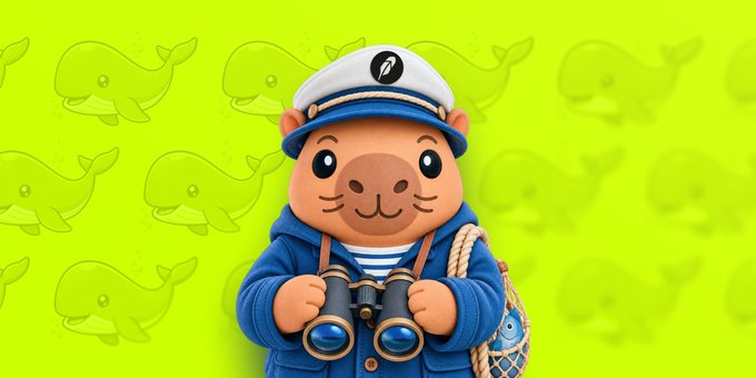 A cartoon illustration of a cute seal character wearing a sailor hat and blue coat, holding binoculars with a fish-patterned green background.
