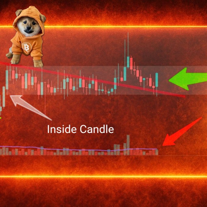 A cryptocurrency trading chart labeled "Inside Candle" featuring a Shiba Inu dog in a Bitcoin hoodie, with red downward trend lines and arrows indicating bearish price action.