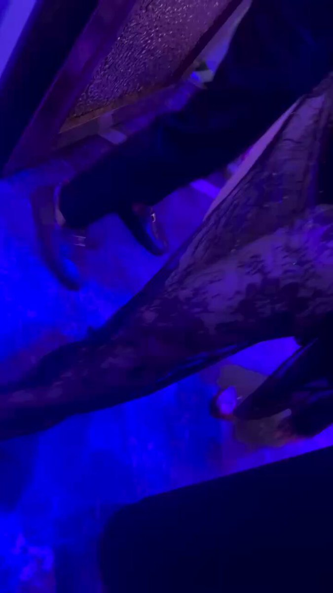 The image shows a person's leg with their foot raised up against a blue background. The photo has been edited to include a caption that reads "World Cup: Check out the legs, wait no, watch the game properly Switch to a new batch!!!!!!!!!!!!!!!! This article is exclusively sponsored by @bcgame #BCGAME!".