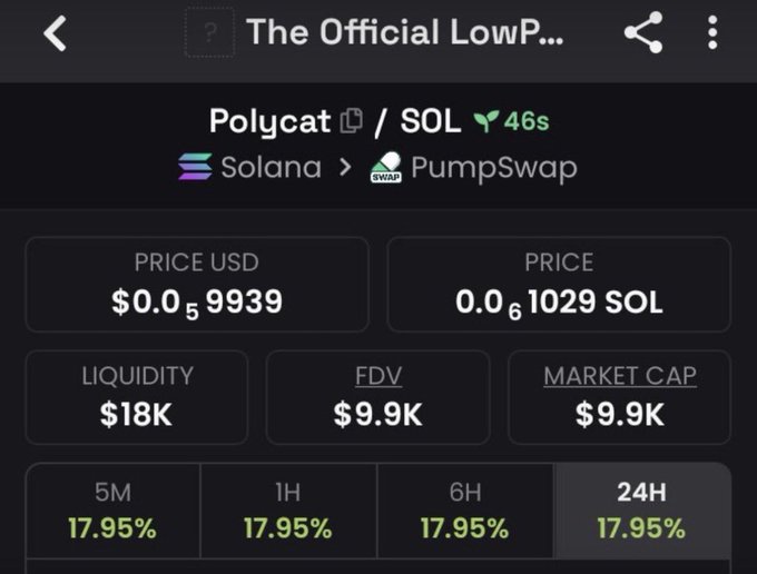 A screenshot from the LowP... (likely "The Official LowPoly") tracker app showing the Polycat token ($POLYCAT) on Solana via PumpSwap, priced at $0.0059939 (0.0001029 SOL) with $18K liquidity and a $9.9K market cap, all timeframes showing a +17.95% gain—matching the post's excitement about spotting the new memecoin early.