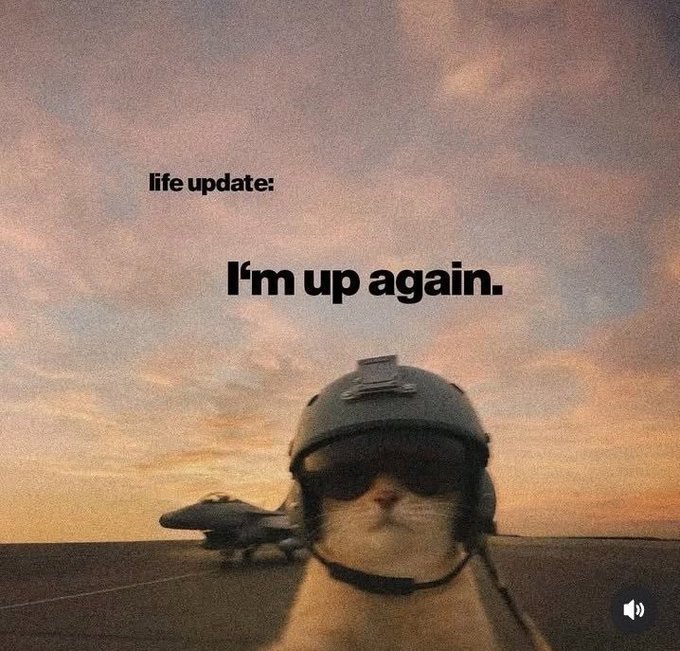A cat wearing a pilot's helmet and goggles sits on an aircraft carrier deck at sunset, with text overlay reading 'life update: I'm up again.'