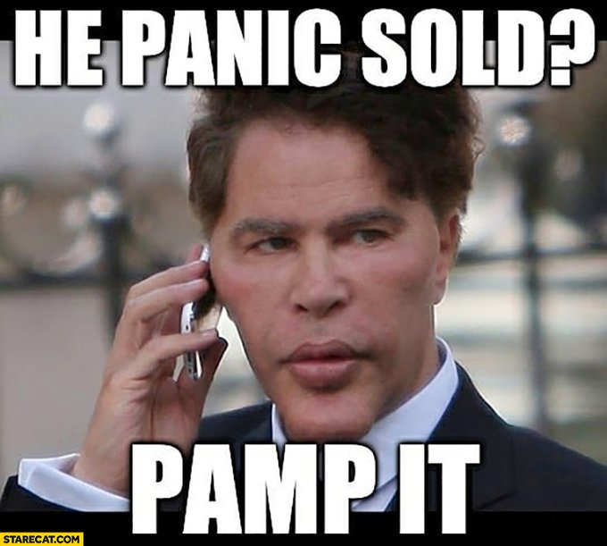A 'pamp it' meme featuring a serious-looking man on a phone call, with bold text reading 'HE PANIC SOLD? PAMP IT' to mock panic sellers.