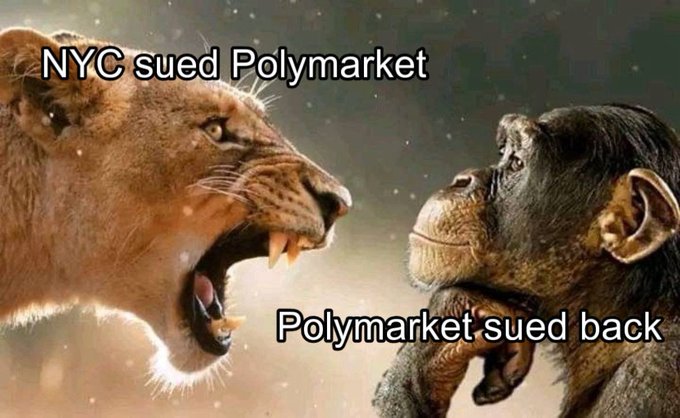 A meme featuring a roaring lioness facing a roaring chimpanzee, captioned 'NYC sued Polymarket' over the lion and 'Polymarket sued back' under the chimp.