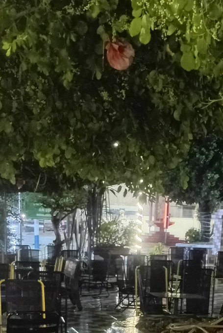 A nighttime outdoor scene of a patio with tables and chairs under a leafy tree canopy, with string lights and a fountain visible in the background.