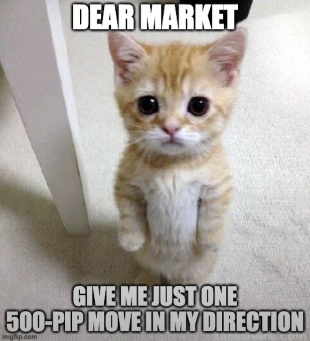 A meme featuring an orange kitten standing on its hind legs with text reading 'DEAR MARKET GIVE ME JUST ONE 500-PIP MOVE IN MY DIRECTION' from imgflip.com.