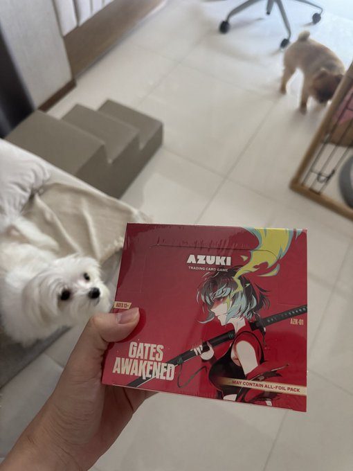 A hand holds up a red Azuki TCG "Gates Awakened" sealed booster box (AZR-01), while an adorable white Maltese dog watches curiously from the couch in the background—perfectly capturing the excitement of unboxing a fresh pull.