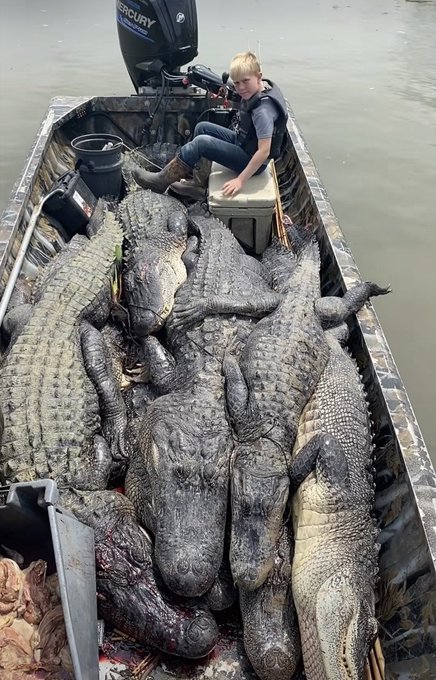 A young boy sits in a boat filled with a large pile of massive dead crocodiles/alligators, near a Mercury outboard motor.