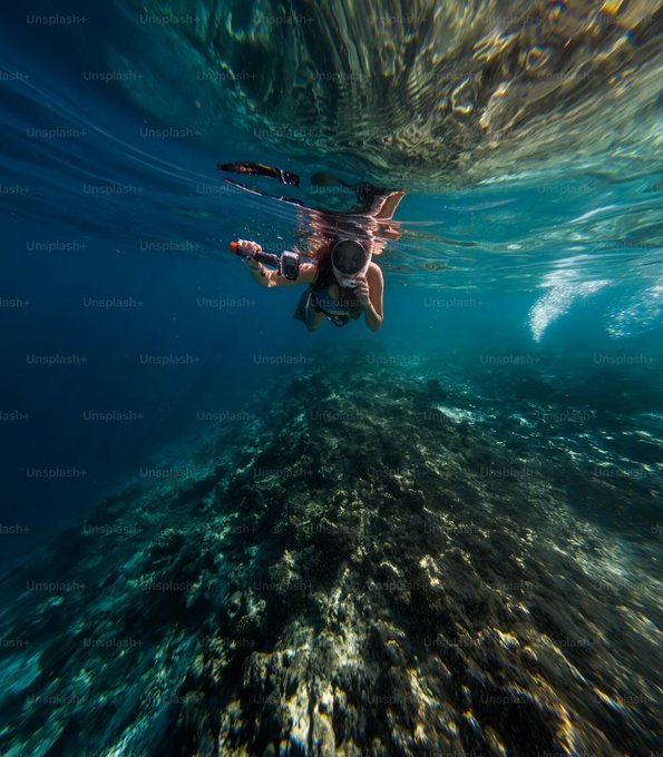 The image shows a person wearing scuba gear swimming underwater, with their head above water and their body partially submerged. The scene takes place in an ocean setting, where there are rocks visible at various depths. The focus of the image seems to be on the person's diving experience rather than vanity metrics or other aspects of the post.