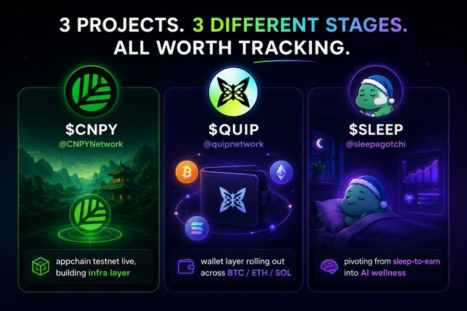 Promotional graphic titled '3 PROJECTS. 3 DIFFERENT STAGES. ALL WORTH TRACKING.' featuring $CNPY, $QUIP, and $SLEEP tokens with descriptions of each project's status.
