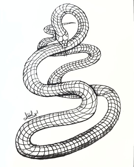 A detailed black-and-white sketch of a coiled snake, drawn in a grid-like scale pattern, with Arabic text signed by the artist at the bottom left.