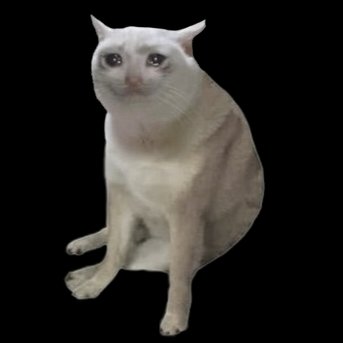 A white cat with brown patches sits against a black background, looking up with an alert expression.