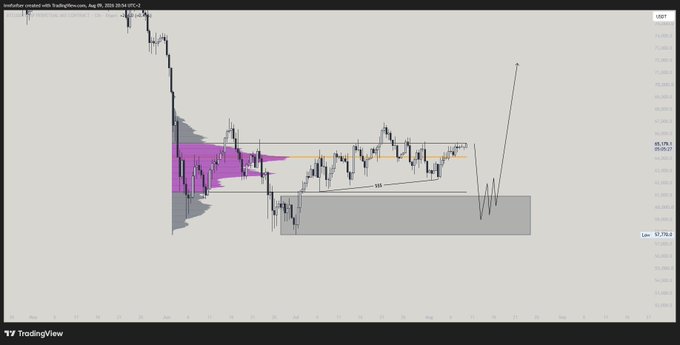 A TradingView candlestick chart for 'Australian dollar with Tradyticsvonnn, Aug 29, 2025' shows price action with volume profile indicators and trendlines.