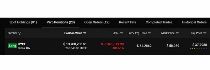 Trading interface screenshot showing a long position on HYPE with a position value of $13,700,203.51 and an unrealized PnL of -$1,461,079.98 (-106.65%).