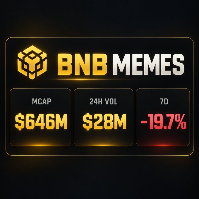A dashboard panel displaying 'BNB MEMES' with metrics: MCAP $646M, 24H VOL $28M, and 7D -19.7%.