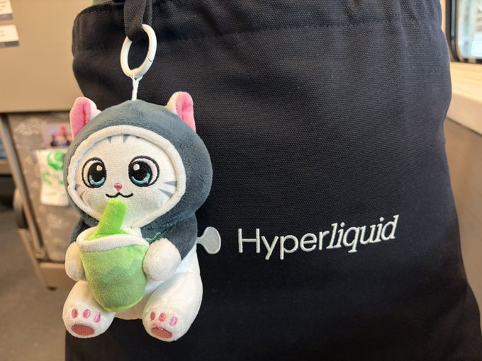 A plush cat keychain wearing a gray hooded outfit and holding a green cup, attached to a black Hyperliquid branded bag.
