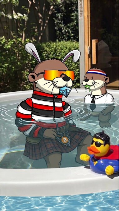 Two cartoon otters are depicted relaxing in a hot tub, with one wearing orange sunglasses and a striped shirt while holding a duck wearing sunglasses.