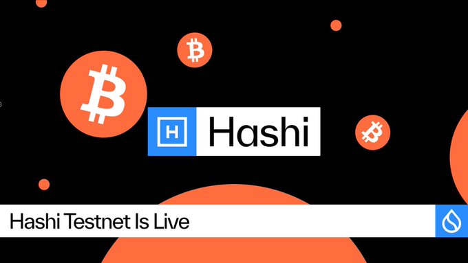 A promotional graphic with orange Bitcoin logos on a black background, displaying 'Hashi' in a white and blue logo, with the text 'Hashi Testnet Is Live' at the bottom.