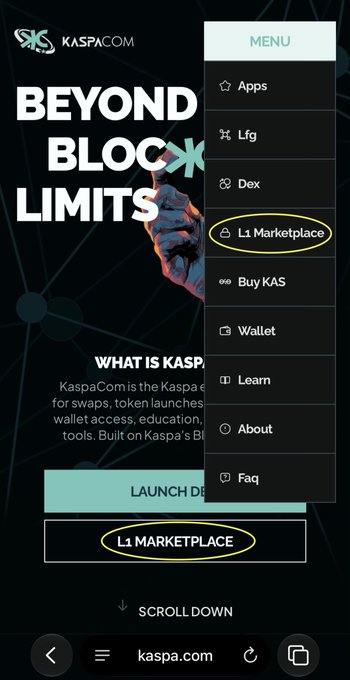A screenshot of the Kaspa.com website displaying a navigation menu with options like Apps, Lfg, Dex, and L1 Marketplace.