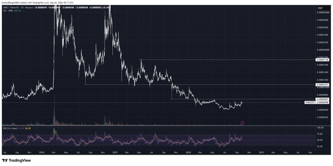 A TradingView chart showing the SHIB/USD price trend from August to September with an RSI indicator below, displaying various price levels and technical analysis markings.