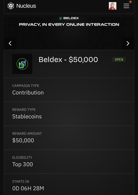 A mobile app screen from "Nucleus" displays a BELDEX campaign titled "PRIVACY, IN EVERY ONLINE INTERACTION" for "Beldex - $50,000", specifying "Contribution" type, "Stablecoins" reward of "$50,000", eligibility for "Top 300", and a countdown "0D 06H 28M".