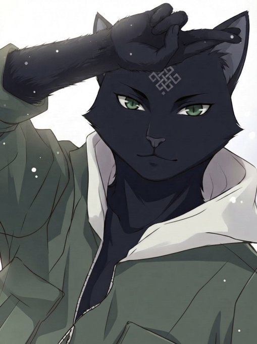 An anime-style illustration features a black cat-like character with green eyes, a geometric symbol on its forehead, and a hand raised to its ear, wearing a green jacket with a white hood.