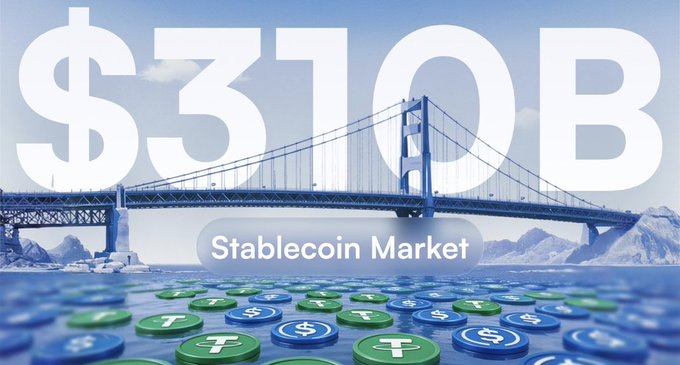 A promotional graphic for the 'Stablecoin Market' showing '$310B' in large text over a bridge and water, with Tether (USDT) and USD Coin (USDC) token icons floating in the foreground.