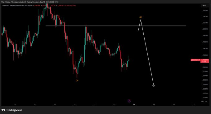 A TradingView chart of ZECUSDT Perpetual Contract on the 1-hour timeframe shows price action near $1,099.06, with hand-drawn annotations marking a potential resistance level around $1,200 labeled "SELL" and a projected downward move, alongside a labeled low point "(a)" near $1,020—illustrating the short setup the poster referenced in their update.