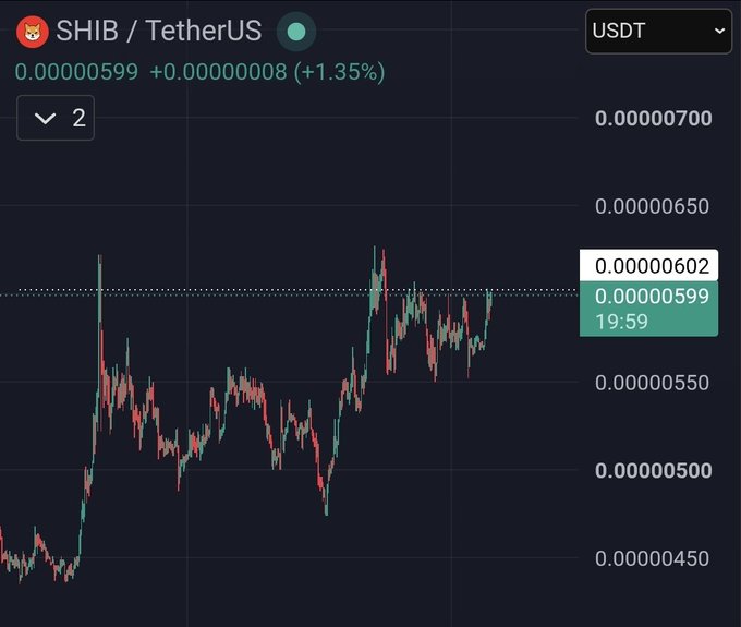 A cryptocurrency trading chart shows the SHIB/TetherUS (USDT) pair trading at 0.00000599, up 1.35% (+0.00000008).