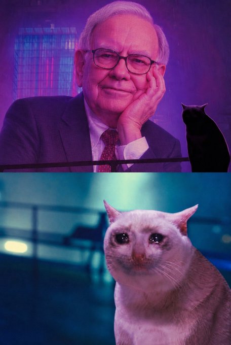 A two-panel image showing Warren Buffett in a suit with his hand on his chin under pink lighting, with a black cat silhouette beside him, and below it a close-up of a white cat with a teary-eyed expression.