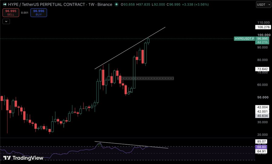 A TradingView candlestick chart displays the HYPE / TetherUS PERPETUAL CONTRACT on Binance, showing a 1-week timeframe with the current price at 96.995, up 3.56%, featuring white trendlines drawn over the price action.