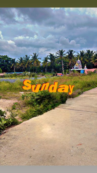 Vertical landscape photo of a rural path with palm trees and a temple in the background, overlaid with the word 'Sunday' in orange text.