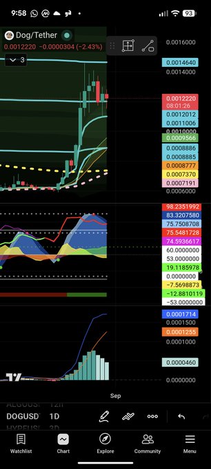 A TradingView chart on a mobile app showing a DOG/USDT trading pair with green and red candlesticks on a dark background.