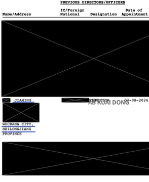 A form showing 'PREVIOUS DIRECTORS/OFFICERS' with a crossed-out black box, the name 'SU KUAN DONE' partially visible with a 2021 appointment date, and an address in 'WUCHANG CITY, BEILONGJIANG PROVINCE'.