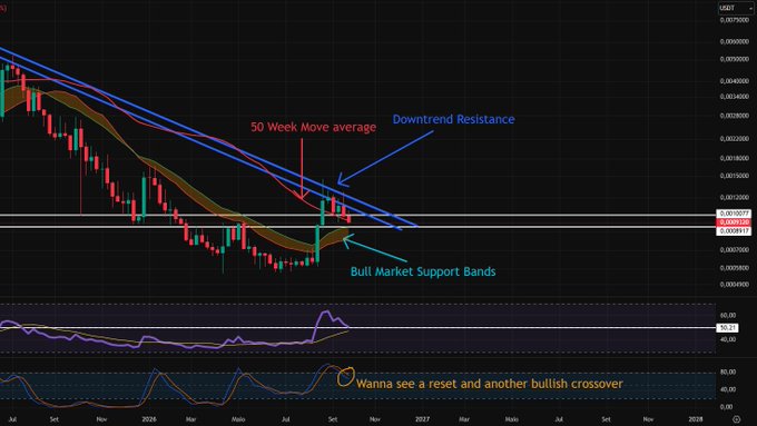 Cryptocurrency price chart displaying candlestick data, a 50 Week Moving Average, Bull Market Support Bands, and Downtrend Resistance annotations, with the USDT pair showing a value around 0.0029317 and a note reading "Wanna see a reset and another bullish crossover."