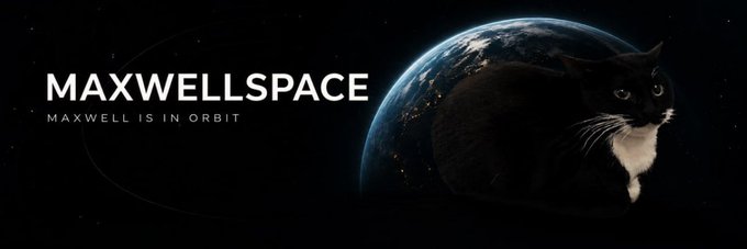 The banner for Solana token $MWSP on Moby features a black-and-white tuxedo cat silhouetted against a glowing Earth in space, with the text "MAXWELLSPACE" and tagline "MAXWELL IS IN ORBIT" on a dark cosmic background.