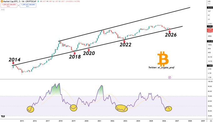 The image shows a bar graph with Bitcoin's RSI (Relative Strength Index) values against time displayed, particularly during the early 2000s when there was significant speculation surrounding Bitcoin as an investment option. This information seems to suggest that the Bitcoin market experienced a significant drop in 2013. The key points highlighted in this post include: "The RSI on the $BTC marketcap has dropped below its 2018 bottom and is now testing the key support levels established during the 2015 and 2022 bottoms .", indicating an underlying trend or pattern, while also referring to Bitcoin's history from 2001-2013.