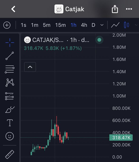 The image shows a TradingView chart of the CATJAK/SOL token on a 1-hour timeframe, displaying a current price of 318.47K with a +1.87% gain. The candlestick pattern reveals a sharp upward spike followed by volatile pullback, visually supporting the poster's claim of CATJAK being a high-potential "undervalued play" on the Solana market.
