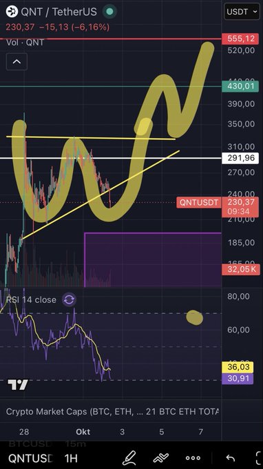 A trading chart on the QNT/USDT pair shows a price of 230.37, down 6.16%, with the word 'win' drawn over the candlesticks and an RSI indicator at the bottom.