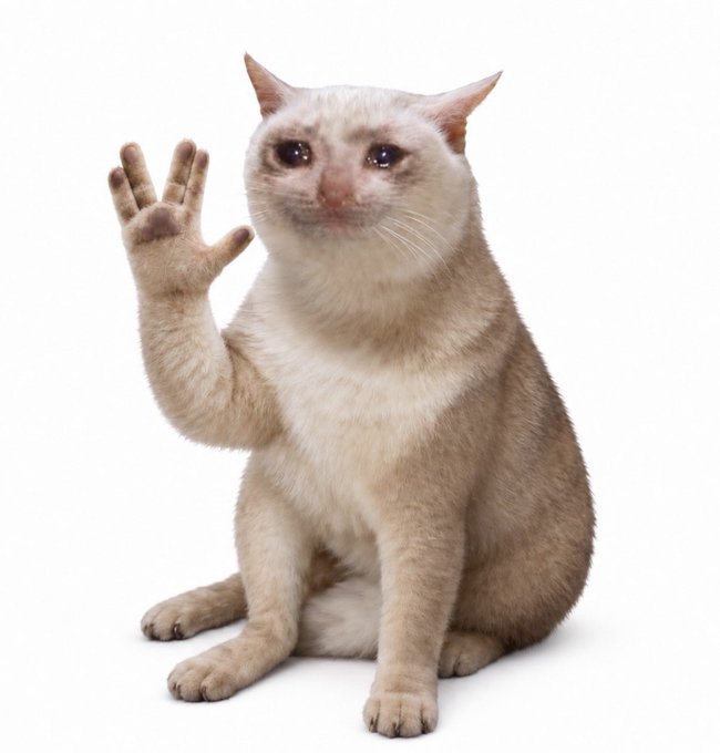 A cream-colored cat with teary eyes sits against a white background and raises one paw in a waving gesture.