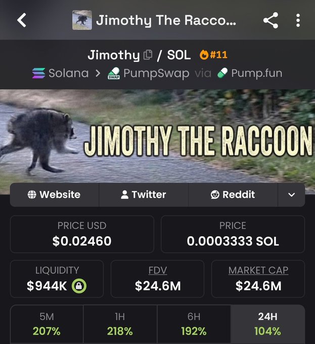 The image shows a cryptocurrency trading page for "Jimothy The Raccoon" ($Jimothy/SOL), a meme coin on the Solana blockchain via Pump.fun, priced at $0.02460 with a $24.6M market cap and showing strong gains of 104% over 24H and 207% over 5M. The post congratulates $Jimothy holders, aligning with the impressive price performance displayed on the trading dashboard.