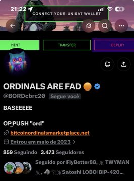 A mobile screenshot showing the Ordinals wallet with the headline 'ORDINALS ARE FAD' by @BORDcbcr20, suggesting pushing 'ord' via bitcoinordinalsmarketplace.net with 859 followers and 3,473 seguidores.