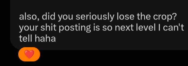 A screenshot of a chat message on a dark background that reads 'also, did you seriously lose the crop? your shit posting is so next level I can't tell haha' with a smiling heart emoji.