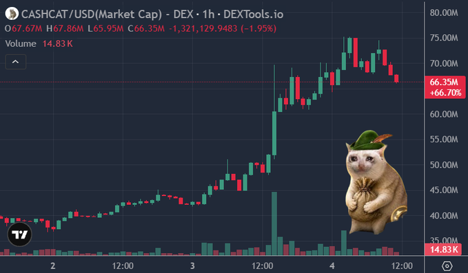 A DEXTools chart shows CASHCAT/USD market cap at $66.35M (+66.70%) with $14.83K volume after pulling back from a peak near $80M, reflecting the token holding its gains following $2.7M in whale buys and speculation about a potential Robinhood listing.