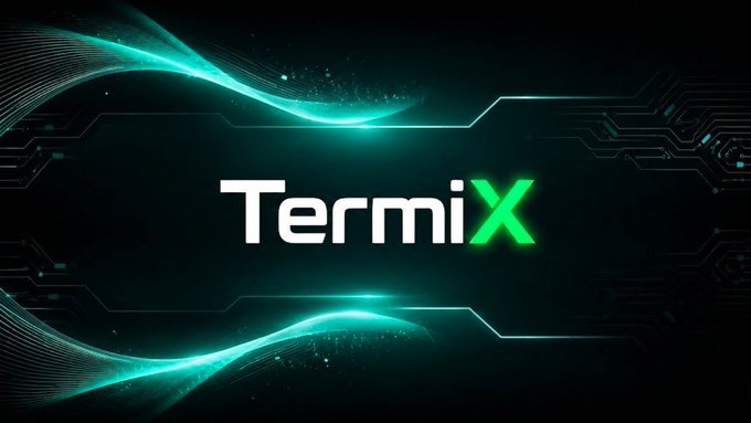 A digital logo graphic for 'TermiX' featuring glowing teal wave lines on a dark background with circuit board patterns.