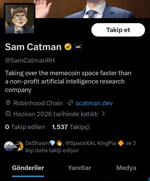 The image shows a Twitter profile for "Sam Catman" @SamCatmanRH, which appears to be a satirical profile related to cryptocurrency and AI, referencing "Robinhood Chain" and the user "SpaceXAI" from the accompanying post. The profile owner claims to be "Taking over the memecoin space faster than a non-profit artificial intelligence research company."